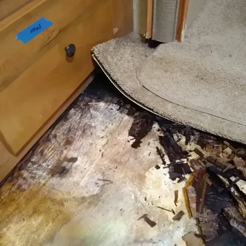 Best Wood Floor Water Damage Service in North Manchester, IN